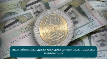 سعر الريال.. تغيرات جديدة في مقابل الجنيه المصري تتصدر تحديثات البنوك السبت 30-8-2025